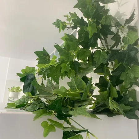 Апартаменти Luminoso Y Con Airco - D4 - Frente A La Piscina En Mareverde