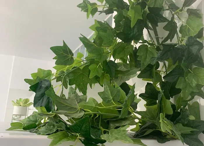 Appartement Luminoso Y Con Airco - D4 - Frente A La Piscina En Mareverde